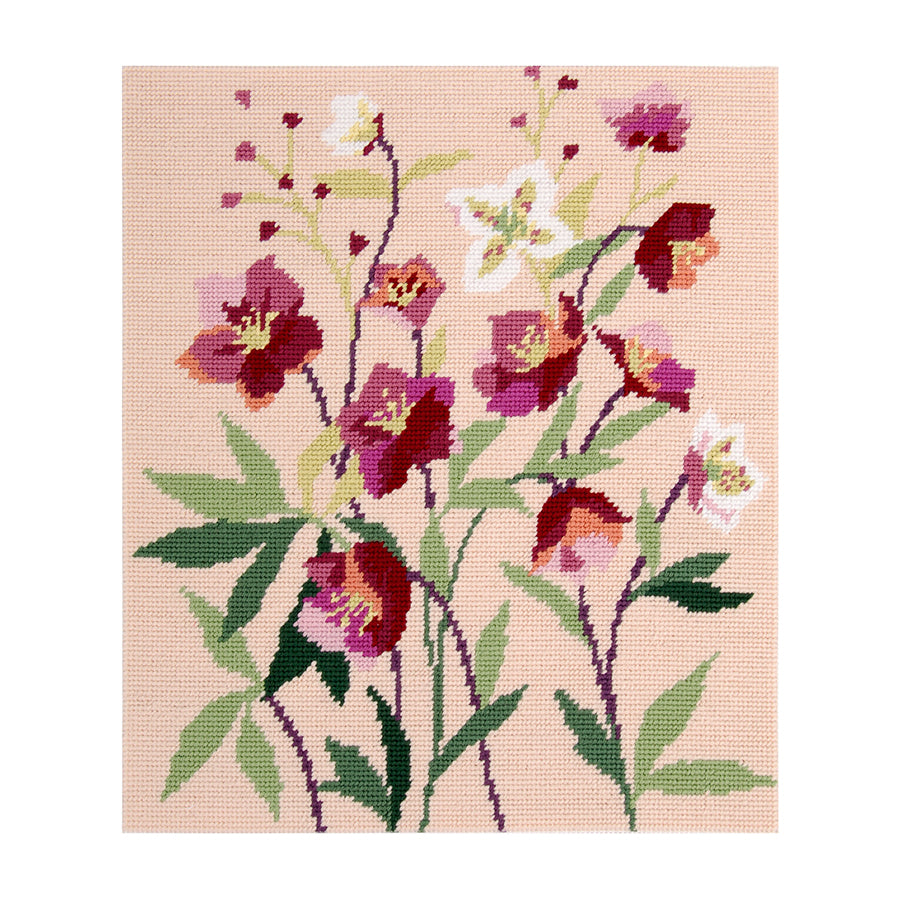 DMC Canvas - Hellebores