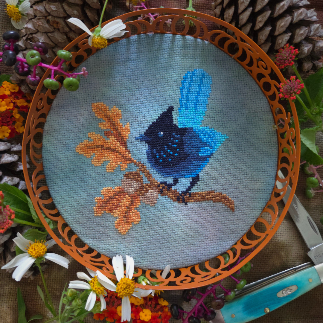 Steller's Jay - Cross Stitch Pattern by BAD Stitch PREORDER