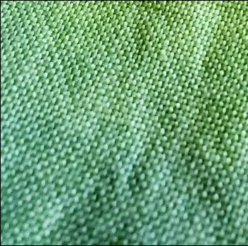 40 count Hand Dyed Linen - Swamp Thing by Fox and Rabbit