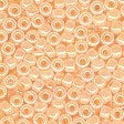 Mill Hill Beads - Glass Seed Beads (00020-02084)
