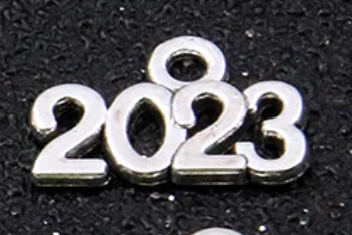 Year Charms - 13mm