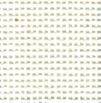 18 Count Mono Canvas