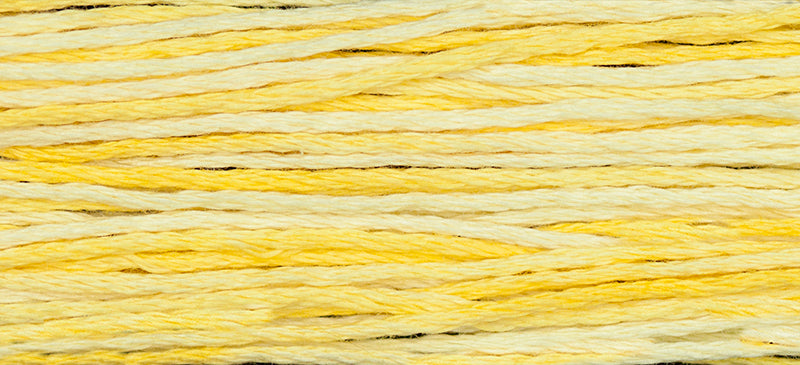 Weeks Dye Works Stranded Cotton ~ Classic Collection