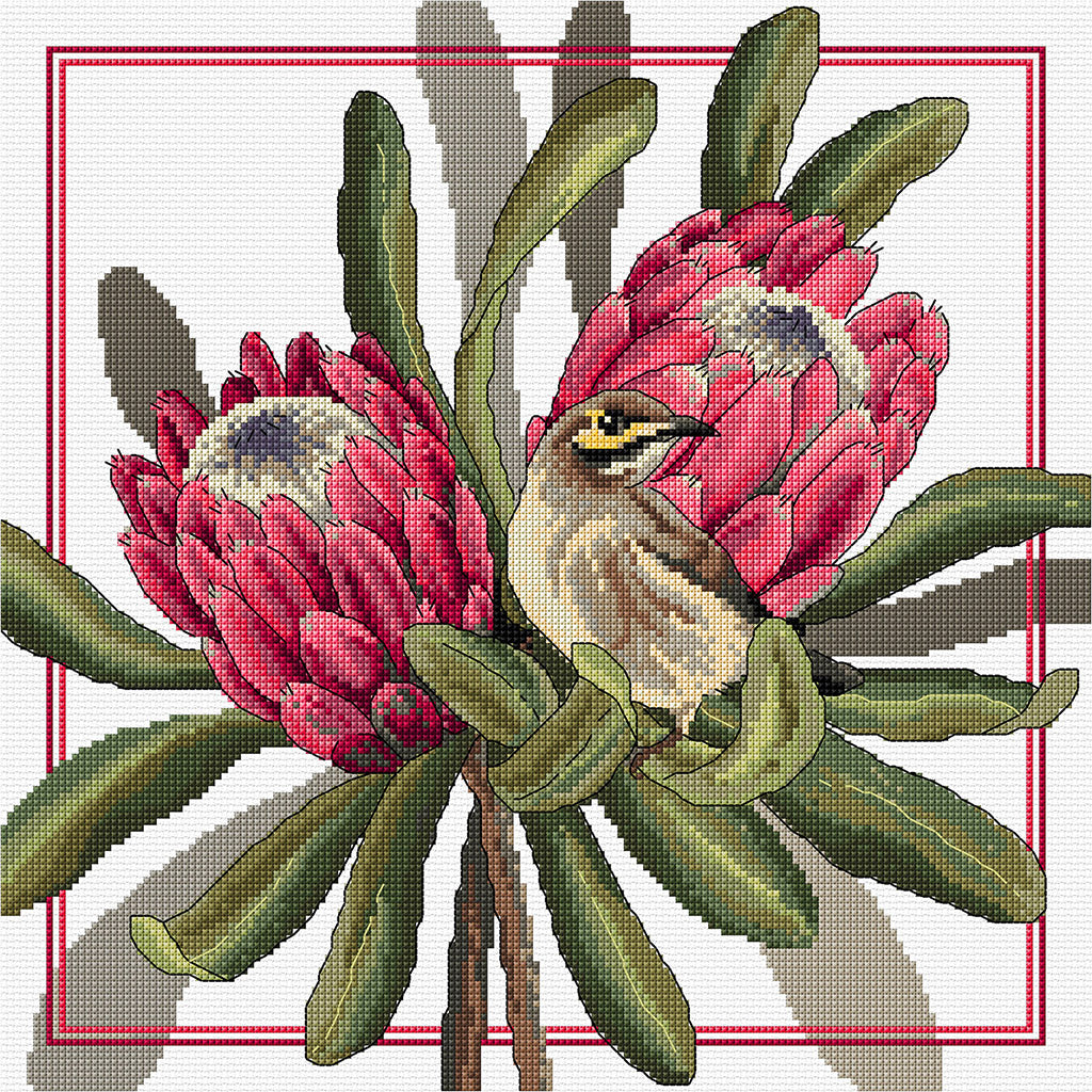 Proteas & Honeyeater - Cross Stitch Chart by Country Threads