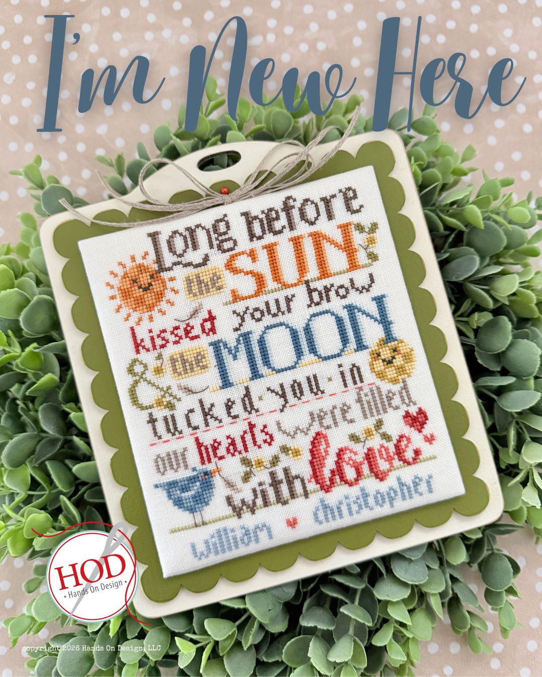 I'm New Here - Cross Stitch Pattern by Hands on Design PREORDER