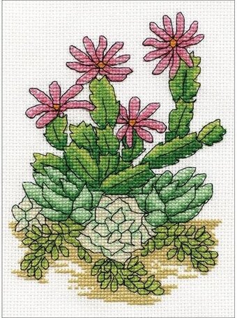 Cactus - Counted Cross Stitch Kit