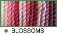 Gumnut Blossoms (2ply wool) Colours (010-568)